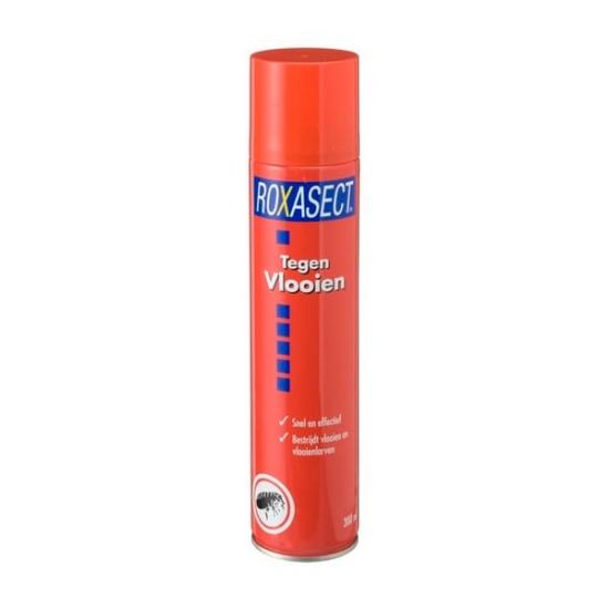 300ml 300ml
